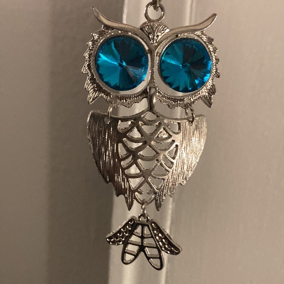 Brand New in Box Absolutely Gorgeous Infinity Slip On Blue Eyes Owl Necklace - Picture 6 of 17